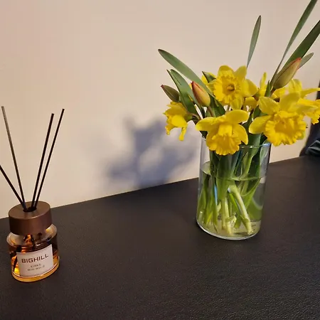 Apartment Butas Kaunas